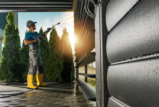 Best Rust Removal  in Girard, IL